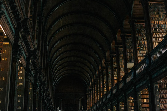 İngilizcede S Takısı Almadan Çoğul Olan Kelimeler